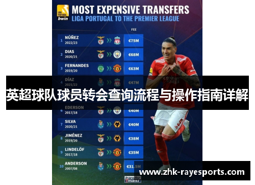 英超球队球员转会查询流程与操作指南详解